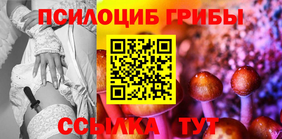 Псилоцибиновые грибы Psilocybe Чайковский