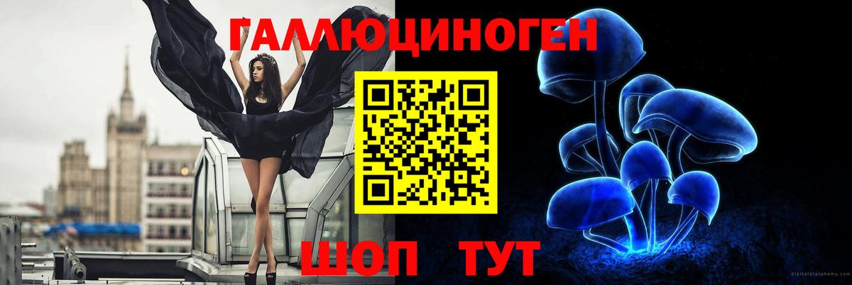 Чайковский  Псилоцибиновые грибы GOLDEN TEACHER  Вход с VPN 