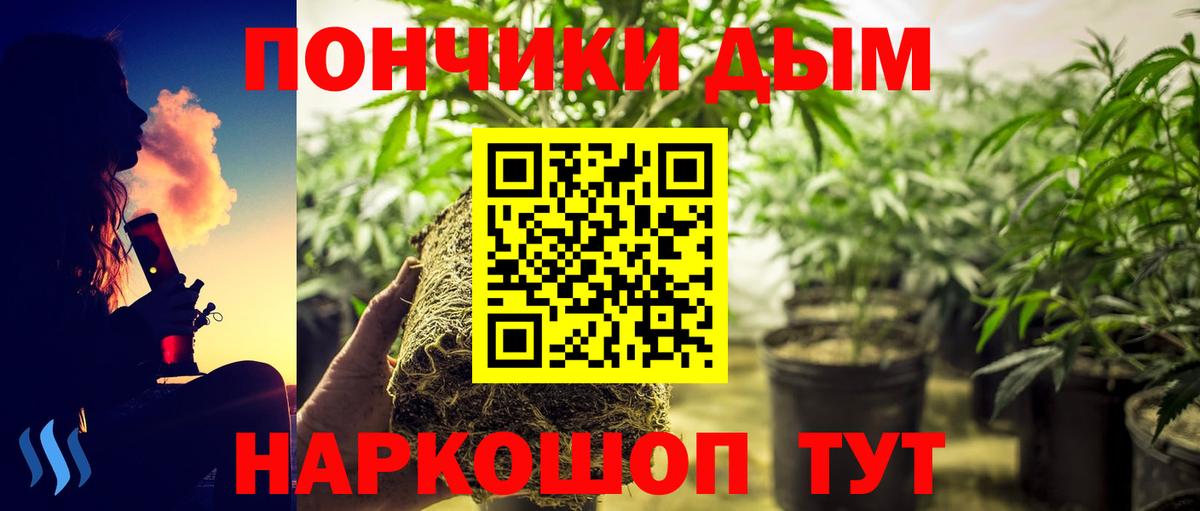 Бошки марихуана White Widow Чайковский